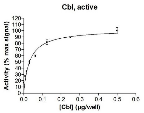 c-Cbl Protein, active, 10 &#181;g Active, full length, recombinant human c-Cbl. N-terminal GST-tagged. For use in Enzyme Assays. Functions as an E3 ligase in ubiquitination assays.