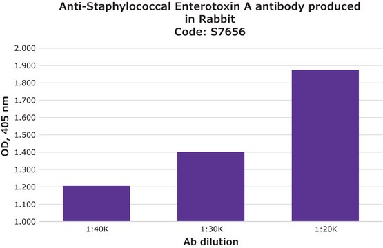 Anti-Staphylococcal Enterotoxin A antibody produced in rabbit whole antiserum