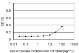 Monoclonal Anti-NCOA5 antibody produced in mouse clone 1E9, purified immunoglobulin, buffered aqueous solution