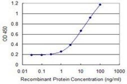 Monoclonal Anti-AIPL1, (N-terminal) antibody produced in mouse clone 3A3, purified immunoglobulin, buffered aqueous solution