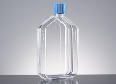 Corning® Primaria Cell Culture Flask capacity 150 mL, straight neck, cap, plug seal