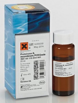 Proteinase K, recombinant, PCR Grade Solution from Pichia pastoris