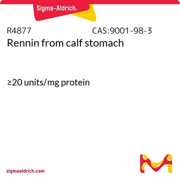 肾素 来源于小牛胃 &#8805;20&#160;units/mg protein