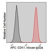Anti-Human CDK1 (POH-1) ColorWheel® Dye-Ready mAb