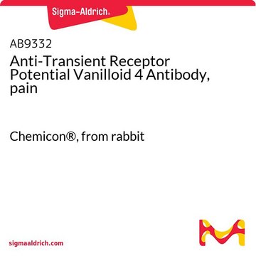 Anti-Transient Receptor Potential Vanilloid 4 Antibody, pain Chemicon&#174;, from rabbit