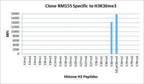Anti-Trimethyl-Histone H3 (Lys36) antibody, Rabbit monoclonal recombinant, expressed in HEK 293 cells, clone RM155, purified immunoglobulin