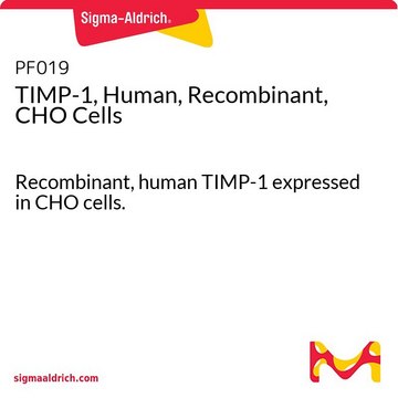 TIMP-1, Human, Recombinant, CHO Cells Recombinant, human TIMP-1 expressed in CHO cells.