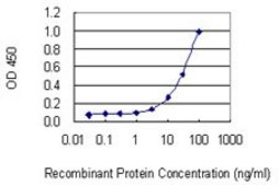 Monoclonal Anti-SNX10 antibody produced in mouse clone 1G5, purified immunoglobulin, buffered aqueous solution