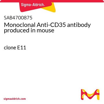 Monoclonal Anti-CD35 antibody produced in mouse clone E11