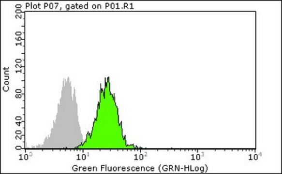 Anti-HU-B27 Antibody, FITC conjugated Chemicon&#174;, from mouse