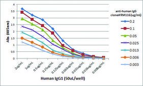 Anti-Human Gamma Heavy Chain-Biotin antibody, Rabbit monoclonal recombinant, expressed in HEK 293 cells, clone RM116, purified immunoglobulin