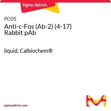 抗-c-Fos (Ab-2) (4-17) 兔pAb liquid, Calbiochem&#174;