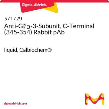 Anti-Gi&#945;-3-Subunit, C-Terminal (345-354) Rabbit pAb liquid, Calbiochem&#174;