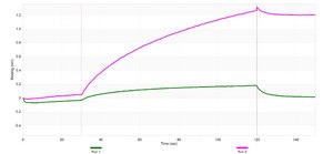 Anti-FKHR/FOXO1 Antibody, clone 1D21 ZooMAb® Rabbit Monoclonal recombinant, expressed in HEK 293 cells