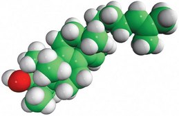 FF-MAS Avanti Research™ - A Croda Brand