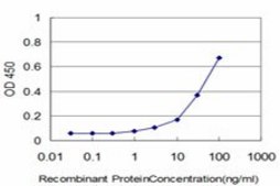 Monoclonal Anti-KCNE1 antibody produced in mouse clone 5B12, purified immunoglobulin, buffered aqueous solution
