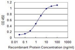 Monoclonal Anti-EWSR1 antibody produced in mouse clone 3A9, purified immunoglobulin, buffered aqueous solution