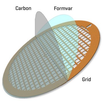 Formvar/Carbon Supported Copper Grids size 150&#160;mesh, box of 50 ×