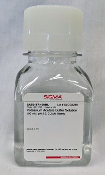 Potassium Acetate Buffer Solution 100 mM, pH 5.0, 0.2 &#956;M filtered