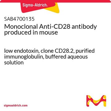 单克隆抗 CD28 小鼠抗 low endotoxin, clone CD28.2, purified immunoglobulin, buffered aqueous solution