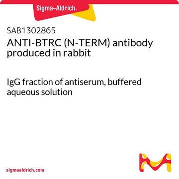 ANTI-BTRC (N-TERM) antibody produced in rabbit IgG fraction of antiserum, buffered aqueous solution