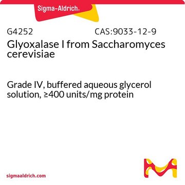 Glyoxalase I from Saccharomyces cerevisiae Grade IV, buffered aqueous glycerol solution, &#8805;400&#160;units/mg protein