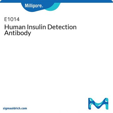 Human Insulin Detection Antibody