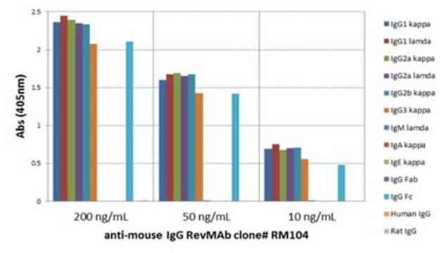 Rabbit Anti-Mouse IgG Antibody, clone RM104 clone RM104, from rabbit