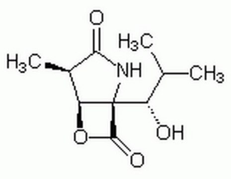 clasto-Lactacystin &#946;-Lactone A highly specific, cell-permeable, and irreversible 20S proteasome inhibitor.