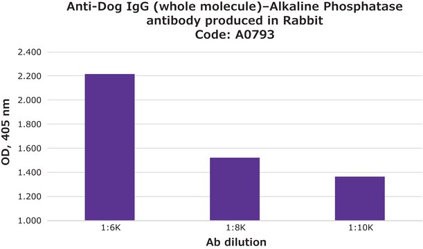 Anti-Dog IgG (whole molecule)–Alkaline Phosphatase antibody produced in rabbit IgG fraction of antiserum, buffered aqueous solution