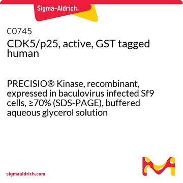 CDK5/p25, active, GST tagged human PRECISIO&#174; Kinase, recombinant, expressed in baculovirus infected Sf9 cells, &#8805;70% (SDS-PAGE), buffered aqueous glycerol solution