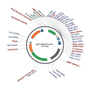 PSF-CMV-PURO-NH2-FLAG&#174; - N-TERMINAL FLAG&#174; TAG MAMMALIAN PLASMID plasmid vector for molecular cloning