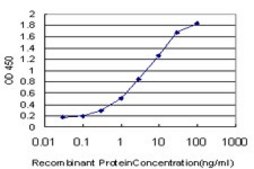 Monoclonal Anti-TRPV5 antibody produced in mouse clone 2A6, purified immunoglobulin, buffered aqueous solution