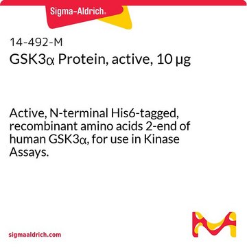 GSK3&#945; Protein, active, 10 &#181;g Active, N-terminal His6-tagged, recombinant amino acids 2-end of human GSK3&#945;, for use in Kinase Assays.