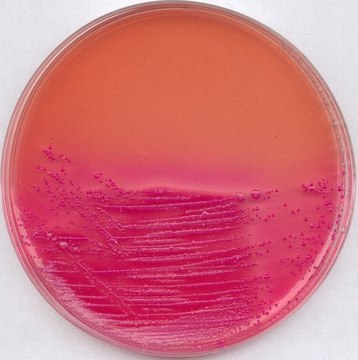 LEIFSON Agar Deoxycholate citrate agar acc. to LEIFSON, modified for microbiology