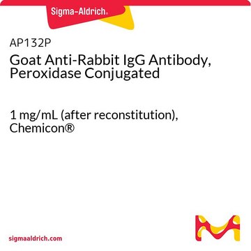 Goat Anti-Rabbit IgG Antibody, Peroxidase Conjugated 1&#160;mg/mL (after reconstitution), Chemicon&#174;