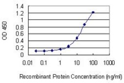 Monoclonal Anti-CCNT2 antibody produced in mouse clone 1H3, purified immunoglobulin, buffered aqueous solution