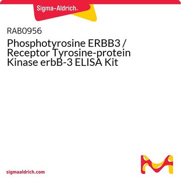 磷酸酪氨酸ERBB3 /受体酪氨酸蛋白激酶erbB-3 ELISA试剂盒