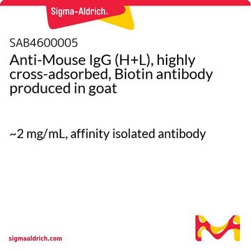 Anti-Mouse IgG (H+L), highly cross-adsorbed, Biotin antibody produced in goat ~2&#160;mg/mL, affinity isolated antibody