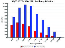 Anti-AQP5 (376-390) antibody produced in rabbit IgG fraction of antiserum, buffered aqueous solution
