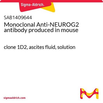 Monoclonal Anti-NEUROG2 antibody produced in mouse clone 1D2, ascites fluid, solution