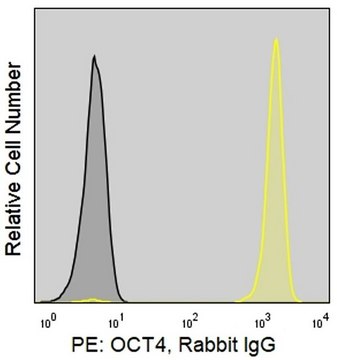 Anti-Human OCT4 (4N8) ColorWheel&#174; Dye-Ready mAb