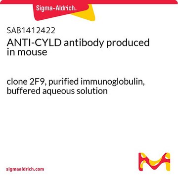 ANTI-CYLD antibody produced in mouse clone 2F9, purified immunoglobulin, buffered aqueous solution