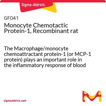 Monocyte Chemotactic Protein-1, Recombinant rat The Macrophage/monocyte chemoattractant protein-1 (or MCP-1 protein) plays an important role in the inflammatory response of blood monocytes &amp; tissue macrophages.