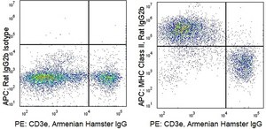 Anti-Mouse MHCII/I-A (NIMR-4) ColorWheel® Dye-Ready mAb