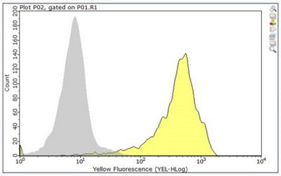 Anti-CD47 Antibody, clone PF3.1 clone PF3.1, from mouse