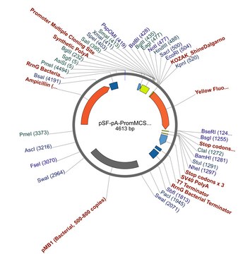 PSF-PA-PROMMCS-KRYFP - PROMOTERLESS MULTIPLE CLONING SITE YFP PLASMID plasmid vector for molecular cloning