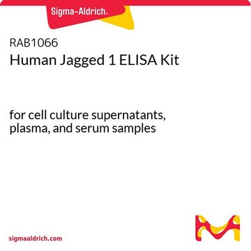 人Jagged 1 ELISA试剂盒 for cell culture supernatants, plasma, and serum samples