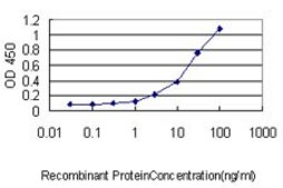Monoclonal Anti-UBL3 antibody produced in mouse clone 3A8, purified immunoglobulin, buffered aqueous solution