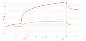 Anti-FLIP Antibody, clone 2K7 ZooMAb® Rabbit Monoclonal recombinant, expressed in HEK 293 cells